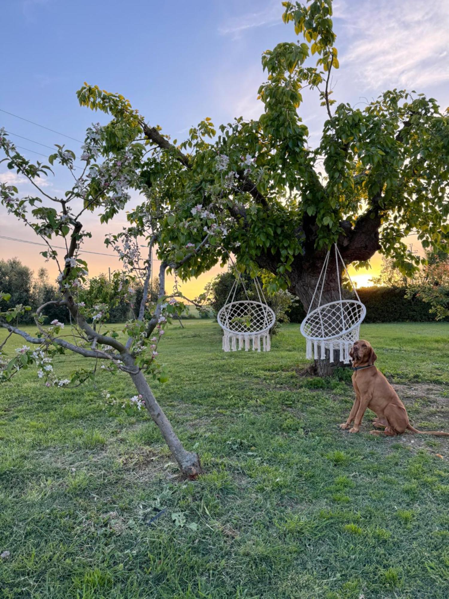 Agriturismo Le Grange Numana Exterior photo